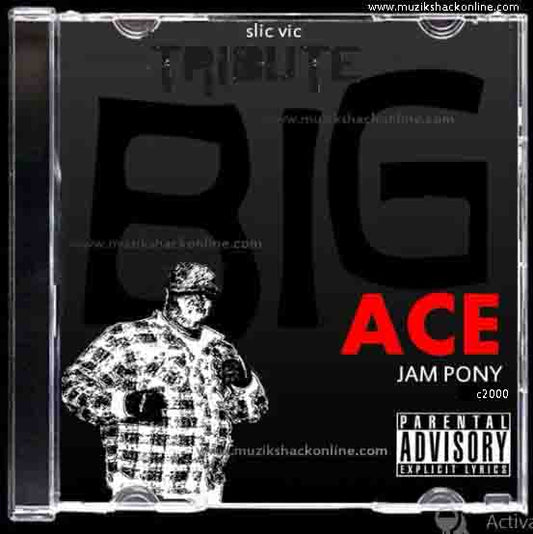 SLIC VIC - BIG ACE TRIBUTE MIX c2000